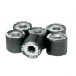 VARIATOR ROLLER FOR MAXISCOOTER MALOSSI 25x22,2 26,0g (x6) FOR PIAGGIO 500 X9 EVOLUTION FOR VARIATEUR MULTIVAR 3700948134900