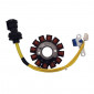 IGNITION STATOR FOR MAXISCOOTER PIAGGIO 125 FLY 2005>, VESPA LX 2005>, LIBERTY 2005>, X8 STREET 2006>2008/GILERA 125 RUNNER 2006/APRILIA 125 MOJITO 2008>, SPORT CITY-ONE 2008> (12 POLES) -P2R- 2463501420001