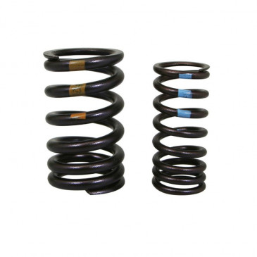 INLET VALVE SPRING KIT "PIAGGIO GENUINE PART" APRILIA 1000-1100 RSV-4 -1A008432-