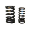 INLET VALVE SPRING KIT "PIAGGIO GENUINE PART" APRILIA 1000-1100 RSV-4 -1A008432-