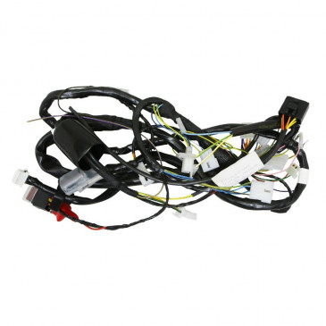 CABLE BUNDLE "PIAGGIO GENUINE PART" GILERA 50 SMT, RCR 2011> -2D000281-