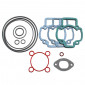 GASKET SET FOR CYLINDER KIT FOR SCOOT PIAGGIO 50 NRG/GILERA 50 RUNNER, DNA - -SELECTION P2R- 3700948021330