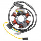 IGNITION STATOR FOR 50CC MOTORBIKE MINARELLI 50 AM6 (DUCATI 60W, 6 POLES, WITHOUT PLATE) -SELECTION P2R- 3700948062999