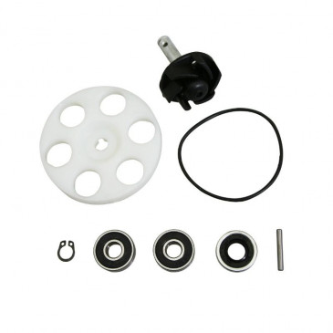 REPAIR KIT FOR WATER PUMP FOR SCOOT MBK 50 NITRO/YAMAHA 50 AEROX/MALAGUTI 50 F12/APRILIA 50 SR 1995>1999/BETA 50 ARK/ITALJET 50 DRAGSTER, FORMULA - -SELECTION P2R- 3700948051559