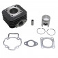 CYLINDER FOR SCOOT SUZUKI 50 KATANA L.C./APRILIA 50 SR 2002>2004 L.C. -P2R CAST IRON PREMIUM- 3700948020791