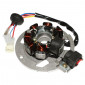 IGNITION STATOR FOR SCOOT CPI 50 ARAGON, HUSSAR, OLIVER, POPCORN (7 POLES - WITH PLATE) -SELECTION P2R- 3700948053089