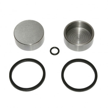 PISTON FOR BRAKE CALIPER AJP -FRONT- (31,8x13) (COMPLETE KIT) -SELECTION P2R- 3700948078815