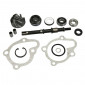 REPAIR KIT FOR WATER PUMP FOR MAXISCOOTER KYMCO 125 BET WIN, 125 DINK, 125 GRAND DINK - -SELECTION P2R- 1001104700001