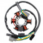 IGNITION STATOR FOR 50CC MOTORBIKE DERBI 50 SENDA, GPR/GILERA 50 SMT, RCR (60W WITH SENSOR) (WITHOUT PLATE) -SELECTION P2R- 3700948062975