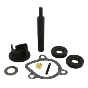 REPAIR KIT FOR WATER PUMP FOR 50cc MOTORBIKE DERBI 50 SENDA 1994>2005, GPR 1997>2005/GILERA 50 SMT 2001>2005, RCR/BULTACO 50 ASTRO 1999>, LOBITO ( DERBI EURO 2 ENGINE) -TOP PERF AS ORIGINAL- 3700948167113