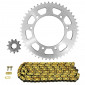 CHAIN AND SPROCKET KIT FOR YAMAHA 50 DT R SUPERMOTARD 2003>2006 420 11x48 (REAR SPROCKET Ø 105/125/8.5) (OEM SPECIFICATIONS) -AFAM- 5400598033117