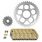 CHAIN AND SPROCKET KIT FOR DUCATI 1100 MONSTER 2009>2012, MONSTER S 2009>2012, MONSTER ABS 2009>2010 525 15x39 (REAR SPROCKET Ø 60/110/38) (OEM SPECIFICATIONS) -AFAM- 5400598046124