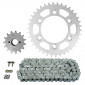 CHAIN AND SPROCKET KIT FOR DUCATI 600 MONSTER 1993>1994 520 15x38 (REAR SPROCKET Ø 100/124/11) (OEM SPECIFICATIONS) -AFAM- 5400598045271