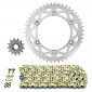 CHAIN AND SPROCKET KIT FOR GAS GAS 300 EC 2000> 520 13x47 (BORE Ø 136/156/8.5) (OEM SPECIFICATION) -AFAM- 5400598053979