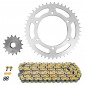 CHAIN AND SPROCKET KIT FOR YAMAHA 660 XT X SUPERMOTO 2004>2016 520 15x45 (REAR SPROCKET Ø 125/145/10.5) (OEM SPECIFICATIONS) -AFAM- 5400598034961