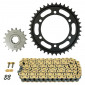 CHAIN AND SPROCKET KIT FOR YAMAHA 1670 MT01 2005>2012, MT01 S 2009> 530 17x39 (REAR SPROCKET Ø 110/130/10.25) (OEM SPECIFICATIONS) -AFAM- 5400598035555