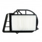 AIR FILTER FOR MAXISCOOTER YAMAHA 250 XMAX 2006>2016, X-CITY 2007>2013, 300 VERSITY 2003>2007/ITALJET 250 JUPITER 2002>2003/MBK 250 SKYLINER 2000>2006 -HIFLOFILTRO HFA4203- 0824225122718