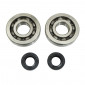 BEARING FOR CRANKSHAFT+SEALS FOR MOPED PEUGEOT 50 FOX (KIT SC04A47CS TPI STEEL C4/NITRILE SEAL) - P2R 3701213422920