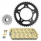 CHAIN AND SPROCKET KIT FOR APRILIA 1000 RSV 2004>2009 525 16x40 (Ø SPROCKET 100/120/10.25) (OEM SPECIFICATIONS) -AFAM- 5400598042973