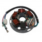 IGNITION STATOR FOR MAXISCOOTER PIAGGIO 125 PX 1998> (5 POLES) (ORIGINAL REF 217866) -SELECTION P2R- 3700948053072