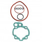 GASKET SET FOR CYLINDER KIT FOR MINARELLI 50 AM6 1995>1999/MBK 50 X-POWER, X-LIMIT/YAMAHA 50 TZR, DTR/PEUGEOT 50 XPS/RIEJU 50 RS1/BETA 50 RR/APRILIA 50 RS, RX - -SELECTION P2R- 3700948021194