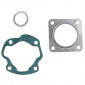 GASKET SET FOR CYLINDER KIT FOR SCOOT PEUGEOT 50 ST - -ARTEIN- 8434579005173