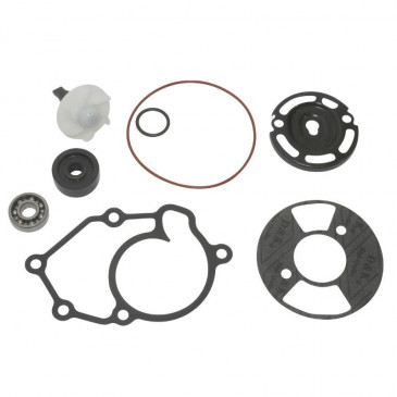 REPAIR KIT FOR WATER PUMP FOR MAXISCOOTER YAMAHA 125 XMAX 2009>/MBK 125 SKYCRUISER 2009> - -P2R- 3700948060995