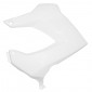 LEFT SIDE COVER FOR TANK FOR 50cc MOTORBIKE DERBI 50 SENDA 1994>2010 GLOSS WHITE- SELECTION P2R 3700948046111