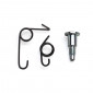 SPRING (2) + SCREW FOR CHOKE - for CARB DELLORTO SHA 3700948130230