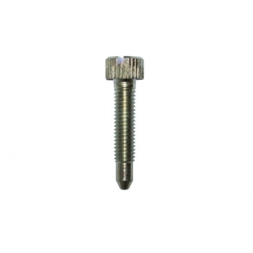 SPEED SCREW FOR CARB DELLORTO PHBG 3700948130551