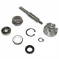 KIT REPARATION POMPE A EAU MAXISCOOTER ADAPTABLE HONDA 125 SH, 125 PANTHEON, 125 DYLAN (KIT) -BUZZETTI- 3700948281567