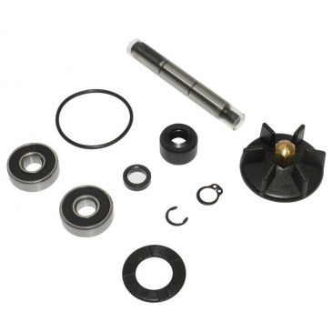 REPAIR KIT FOR WATER PUMP FOR SCOOT PIAGGIO 50 NRG/GILERA 50 RUNNER, DNA - -BUZZETTI- 3700948281574