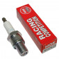 SPARK PLUG NGK R7376-10 (4457) 0087295144572