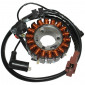 IGNITION STATOR FOR MAXISCOOTER PEUGEOT 250 SATELIS/GILERA 125, 250 NEXUS/APRILIA 250 ATLANTIC/PIAGGIO 250 X-EVO, X8, MP3, (18 POLES - 350W ) -SELECTION - 3700948178881