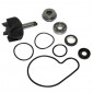 REPAIR KIT FOR WATER PUMP FOR MAXISCOOTER SUZUKI 125 BURGMAN, 250 BURGMAN, 400 BURGMAN - -SELECTION P2R- 1001102600001