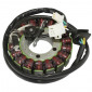 STATOR ALLUMAGE MAXISCOOTER ADAPTABLE SUZUKI 650 BURGMAN 2003>2012 (18 POLES) -SELECTION P2R- 3700948201022