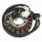 STATOR ALLUMAGE MAXISCOOTER ADAPTABLE SUZUKI 400 BURGMAN 2003>2006 (18 POLES) -SELECTION P2R- 3700948201039