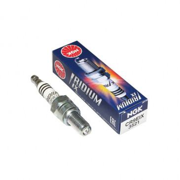 SPARK PLUG NGK CR9EIX (3521) 0087295135211