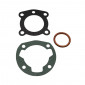 GASKET SET FOR CYLINDER KIT FOR MOPED PEUGEOT 103 MVL-SP, SPX-RCX AIR, VOGUE - -SELECTION P2R- 3701213409815