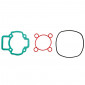 GASKET SET FOR CYLINDER KIT FOR SCOOT PIAGGIO 50 NRG/GILERA 50 RUNNER, DNA (3 GASKETS SET) -SELECTION P2R- 3700948021347