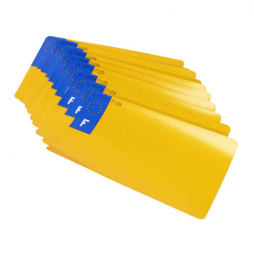 PLASTIC STRIP FOR BLANK TOP'PLAQ LICENSE PLATE (YELLOW-MOTORBIKE FORMAT 210X130)EUROPE - (SET OF 10)