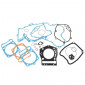 COMPLETE GASKET SET - FOR MAXISCOOTER PIAGGIO 400 BEVERLY TOURER E3 2008>2010, MP3 2007>2011 -ARTEIN- 8434579004282