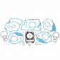 COMPLETE GASKET SET - FOR MAXISCOOTER SYM 200 HD EVO E2/E3 2003>2007, TAMBURO IE 2005>2010, JOYRIDE E2/E3 2005>2009 -ARTEIN- 8434579003889