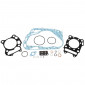 COMPLETE GASKET SET - FOR MAXISCOOTER SUZUKI 200 BURGMAN >2007 -ARTEIN- 8434579003957