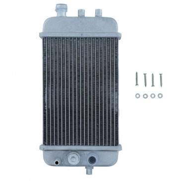 RADIATEUR 50 A BOITE ADAPTABLE DERBI 50 SENDA (AVEC EMPLACEMENT SONDE DE TEMPERATURE)/GILERA 50 SMT, RCR -P2R- 3700948209042