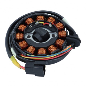 STATOR ALLUMAGE MAXISCOOTER ADAPTABLE MOTEUR KYMCO 125 PEOPLE S, 200 PEOPLE S/MALAGUTI 125 CIAK 4T CARBURATEUR-AIR (12 PÔLES) -SGR- 8434290544203