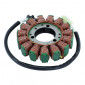 IGNITION STATOR FOR SUZUKI 1000 GSX R 2005>2008 (15 poles - TRIPHASE) (R.O 31401-41G10-000) -SELECTION P2R- 8434290543794