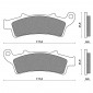 BRAKE PADS NEWFREN FOR APRILIA 125 SCARABEO 2004>2006 Front 125 ATLANTIC 2003>2012 Front KYMCO 125 DOWNTOWN 2016> Front 125 PEOPLE GTI 2010>2014 Front (FD0282BE) (SCOOTER ELITE ORGANIC) 8025832415039