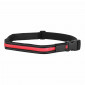 CEINTURE ECLAIRAGE VELO USB AVEC TELECOMMANDE 2 MODES FLASH ET CONTINU - PERMET D'ETRE VU 3700256070372