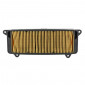 AIR FILTER FOR MAXISCOOTER HONDA 100 LEAD 2008>2011 -HIFLOFILTRO HFA1117- 0824225122602